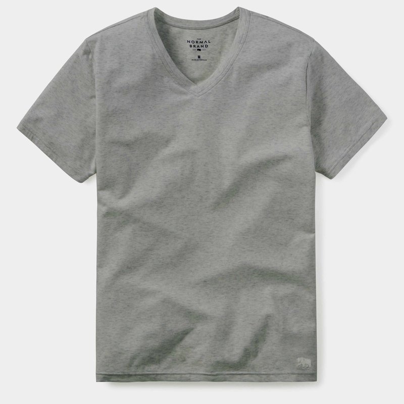 The Normal Brand Active Puremeso V-neck T-shirt In Grey