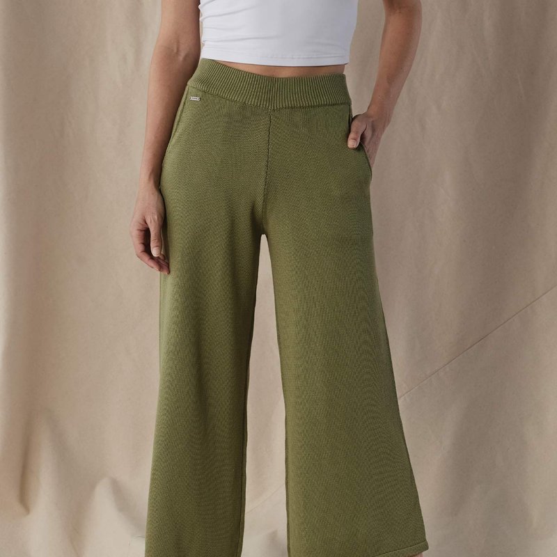 Shop The Normal Brand Wanderlust Knit Pant In Green