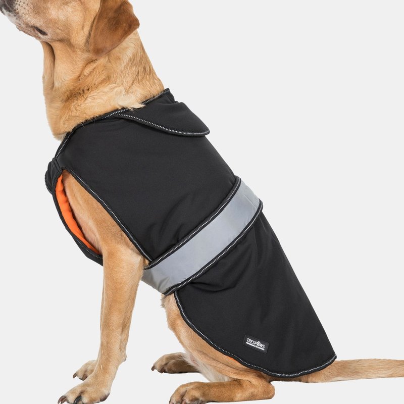 Shop Trespass Butch Touch Fastening Softshell Dog Jacket (black) (xxs) (xxs)