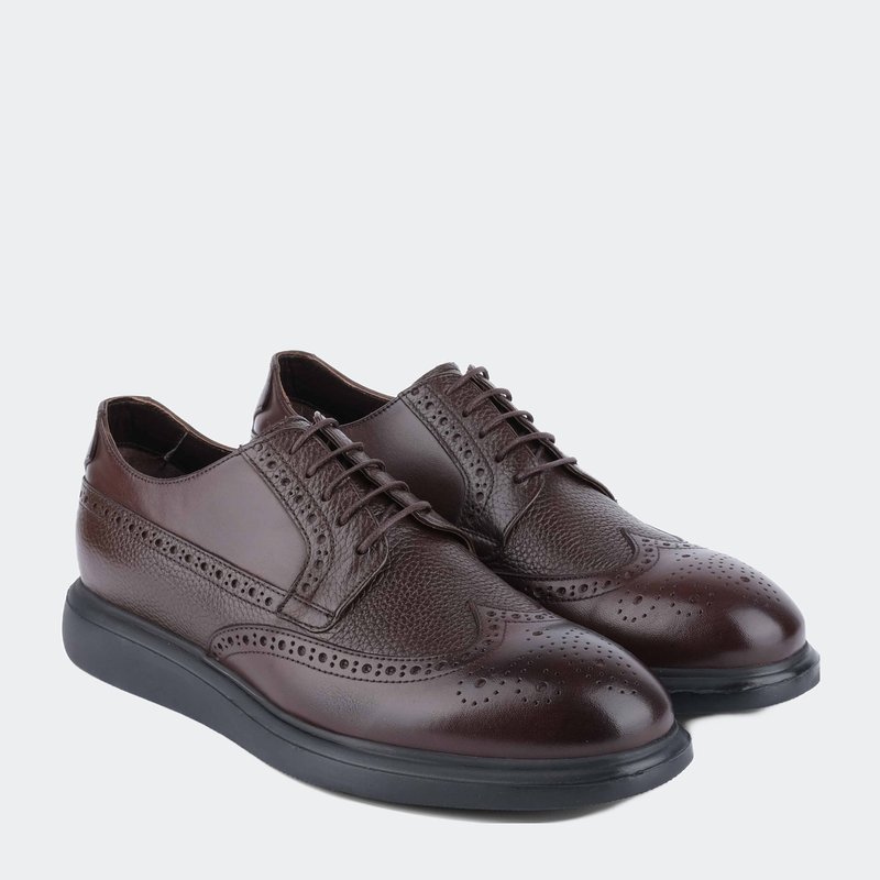 Vellapais Mare Leather Wingtip Sneaker In Brown