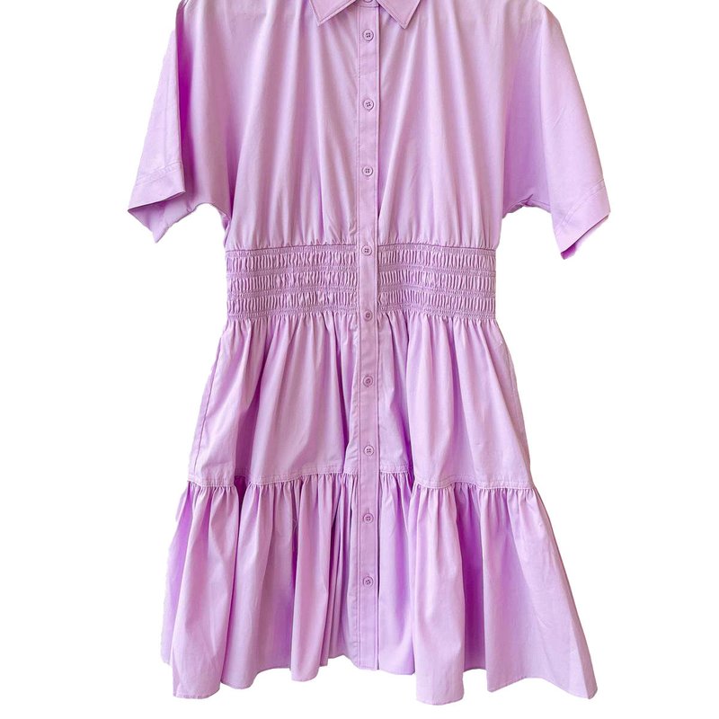 Shop Veronica Beard Women's Greta Dress In Purple