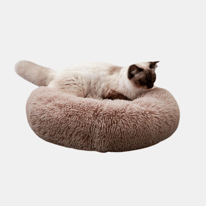 Shop Vigor Cat Beds For Indoor Cats, 20" Dog Bed For Small Melium Large Dogs Washable-round Pet Bed For Puppy A In Brown