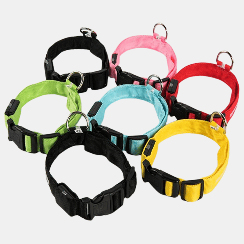 Shop Vigor Reflective Led Light Puppy Collar Rechargeable Waterproof Glow In The Dark Dog Collars In Red