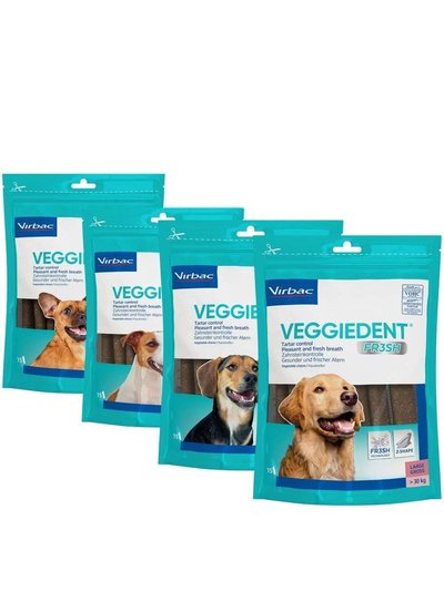 Virbac VeggieDent FR3SH Chews for Dogs (Pack of 15) (May Vary) (Medium) product