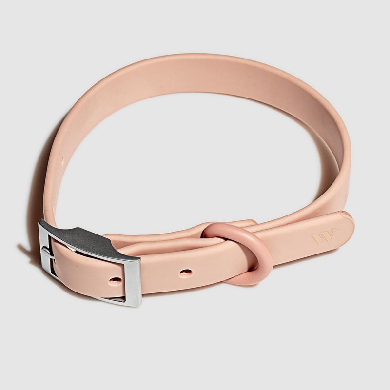 Wild One Collar In Pink