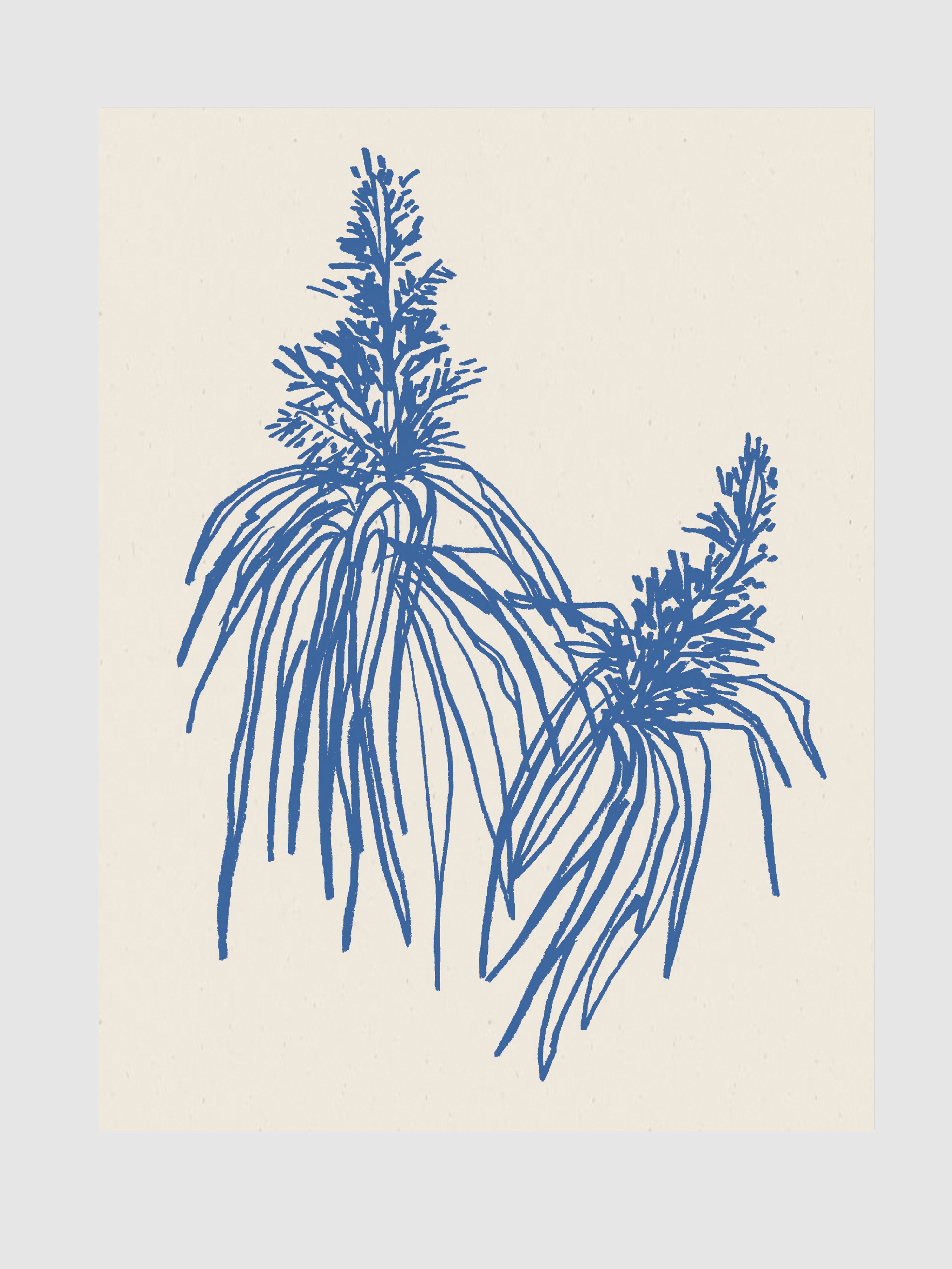 Wilde House Paper Botanical Art Print In Cobalt In Botanical In Cobalt