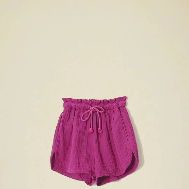 Shop Xirena Starla Shorts In Purple